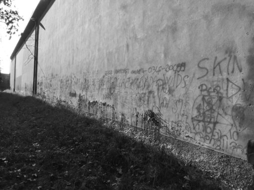 Sito n° 17 Graffiti